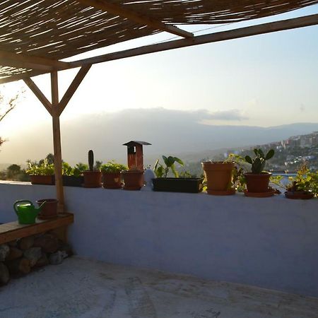 Alibaba Apartment Hostel Bamboo Rooftop Room شفشاون المظهر الخارجي الصورة